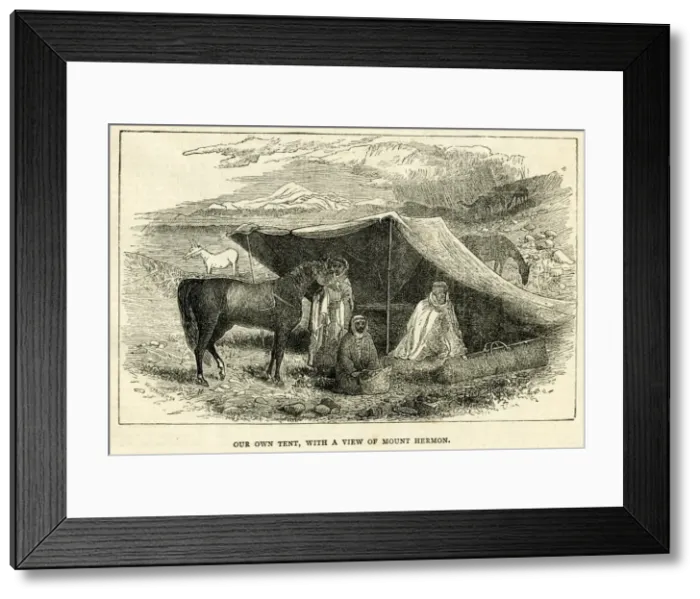 Framed Print : Lady Anne Blunt, traveller in Arabia and the Middle East Framed Print : Lady Anne Blunt, traveller in Arabia and the Middle East