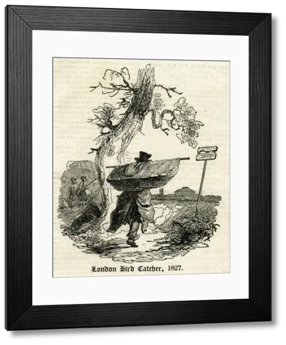 Framed Print : London Bird Catcher Framed Print : London Bird Catcher