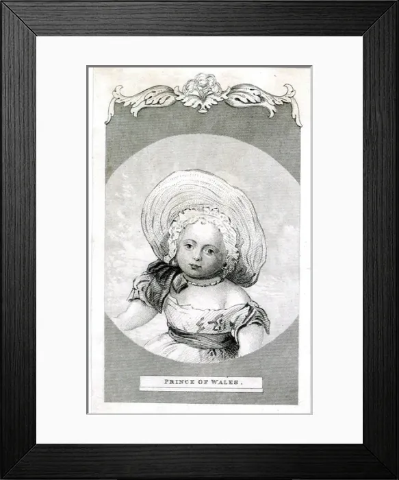 Framed Print : Albert Edward, Prince of Wales, later Edward VII Framed Print : Albert Edward, Prince of Wales, later Edward VII