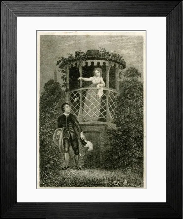 Framed Print : Forget Me Not Framed Print : Forget Me Not