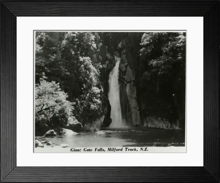Framed Print : Milford Track, New Zealand -- Giant Gate Falls Framed Print : Milford Track, New Zealand -- Giant Gate Falls