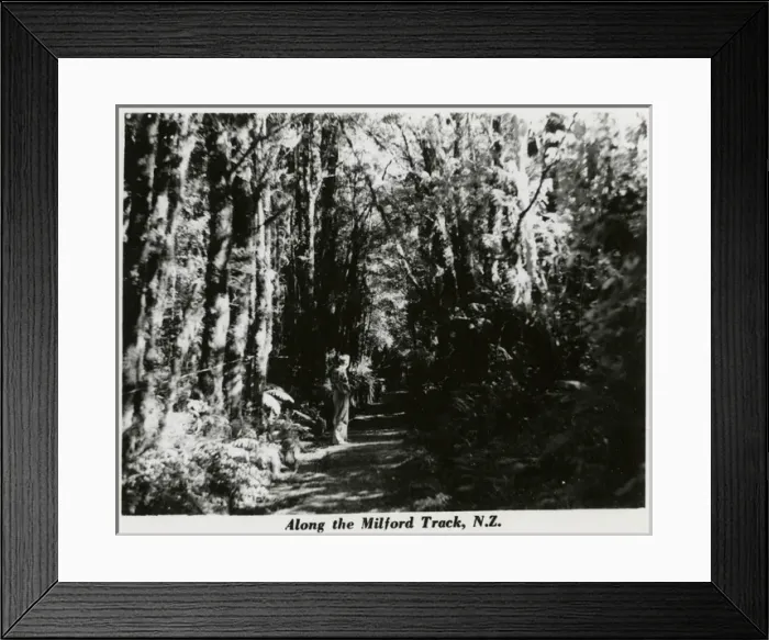 Framed Print : Milford Track, New Zealand Framed Print : Milford Track, New Zealand