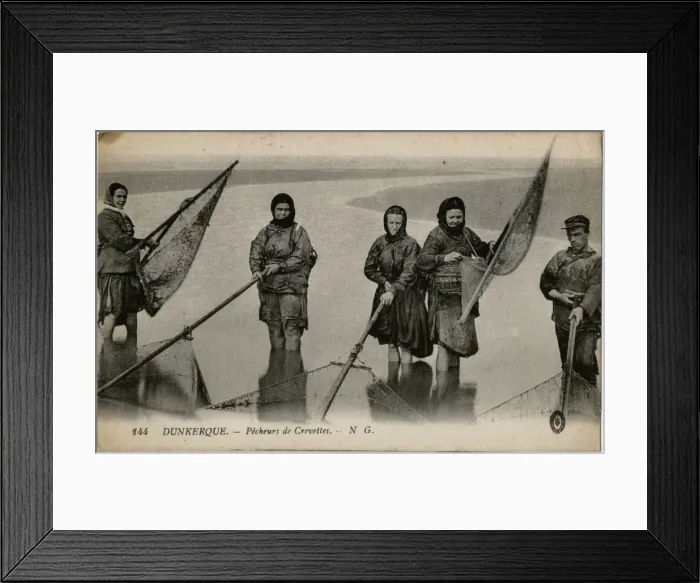 Framed Print : Dunkirk, France - fishing for shrimps Framed Print : Dunkirk, France - fishing for shrimps