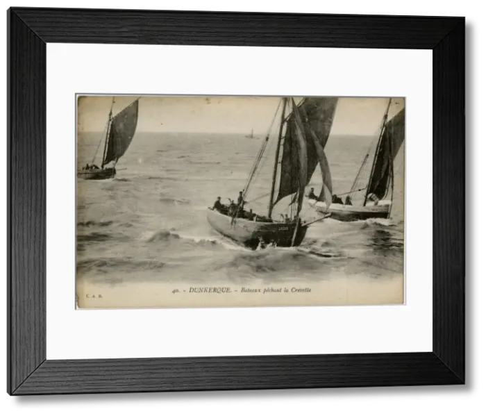 Framed Print : Dunkirk, France - boats fishing for shrimps Framed Print : Dunkirk, France - boats fishing for shrimps