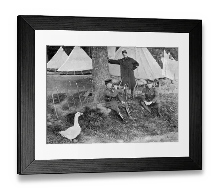 Framed Print : The Christmas goose that comes to Tommys bugle call Framed Print : The Christmas goose that comes to Tommys bugle call