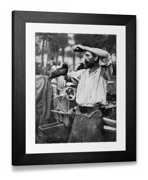Framed Print : A blackbird of the Marne, France, and a soldier Framed Print : A blackbird of the Marne, France, and a soldier