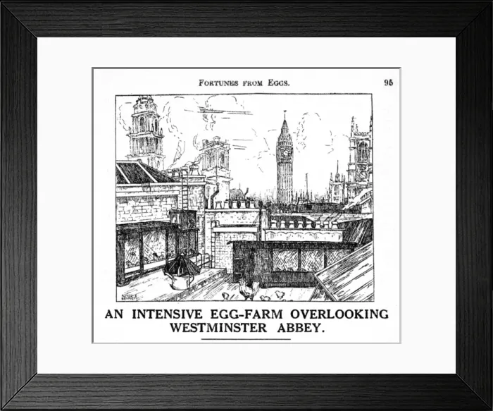 Framed Print : Chicken farm, central London Framed Print : Chicken farm, central London