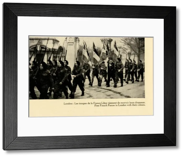 Framed Print : WW2 - Free French troops parading with their Colours Framed Print : WW2 - Free French troops parading with their Colours