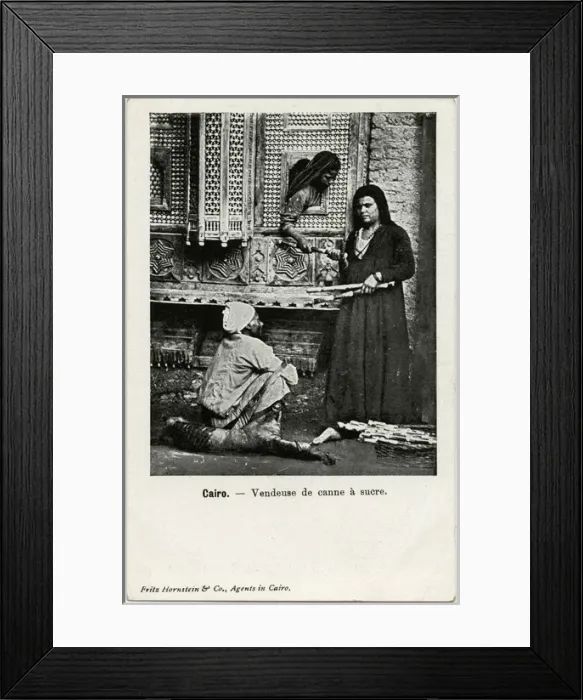 Framed Print : Cairo, Egypt - Sugar Cane Seller Framed Print : Cairo, Egypt - Sugar Cane Seller