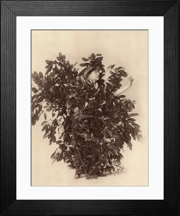 Framed Print : Fancy Dress - Miss C. Bradhurst as Daphne Framed Print : Fancy Dress - Miss C. Bradhurst as Daphne