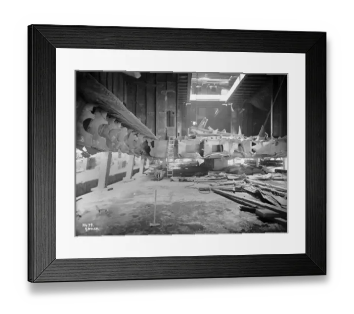 Framed Print : Harland & Wolff Collection - National Museums NI Framed Print : Harland & Wolff Collection - National Museums NI