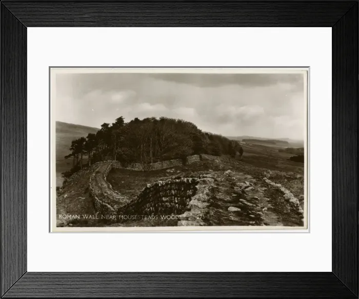 Framed Print : Hadrians Wall - near Houseteads Wood Framed Print : Hadrians Wall - near Houseteads Wood