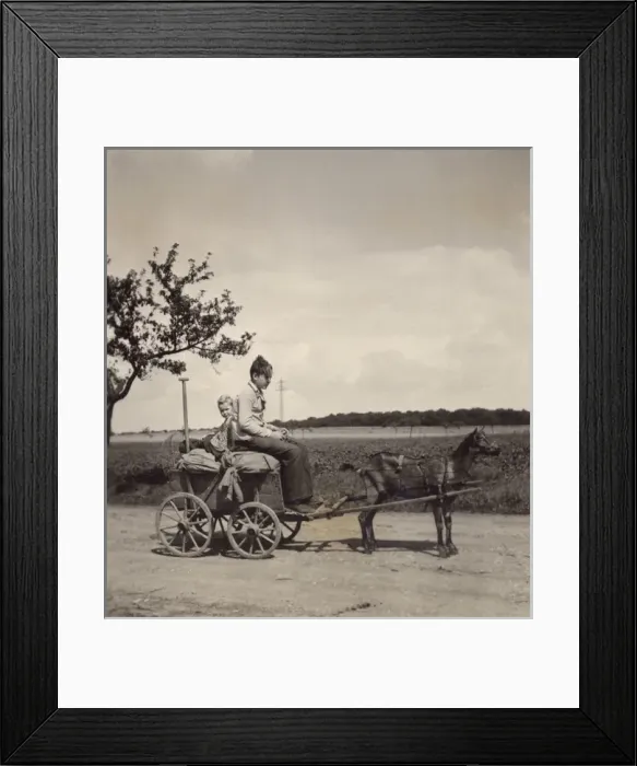 Framed Print : Two boys on dog-drawn cart Framed Print : Two boys on dog-drawn cart