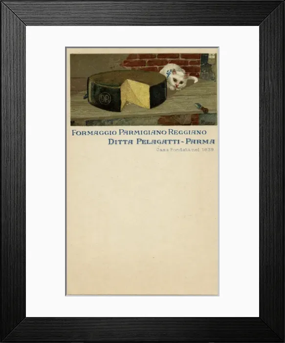 Framed Print : Parmesan Cheese - Advertorial Trade Postcard Framed Print : Parmesan Cheese - Advertorial Trade Postcard