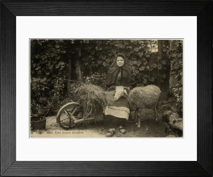 Framed Print : A Young Shepherdess of the Pyrenees, France Framed Print : A Young Shepherdess of the Pyrenees, France