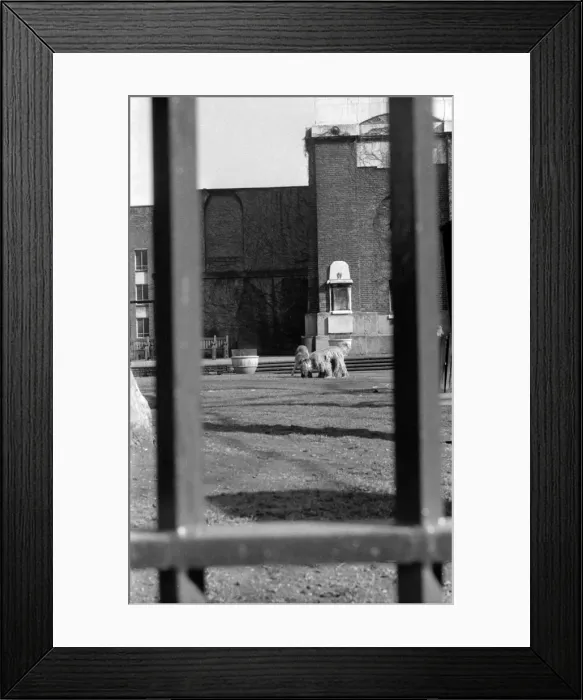Framed Print : Soho, London - St Annes Gardens, Wardour Street W1 Framed Print : Soho, London - St Annes Gardens, Wardour Street W1