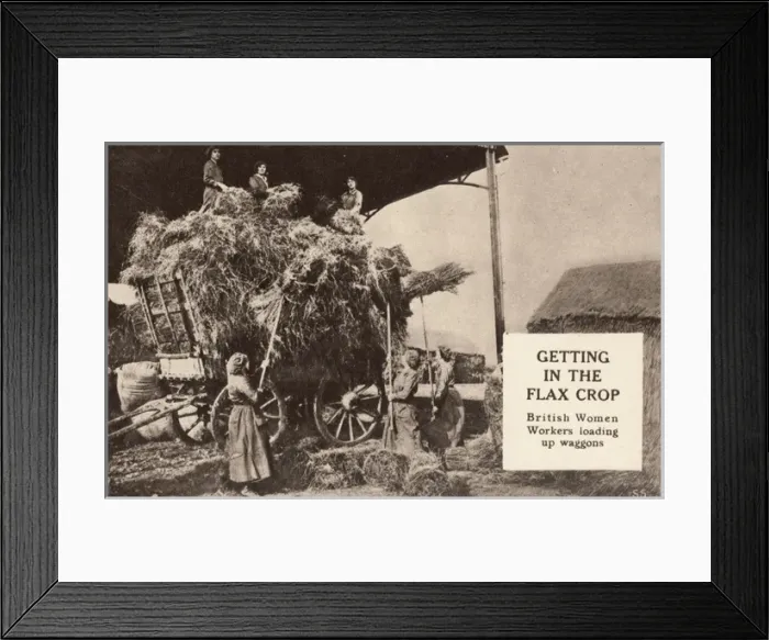 Framed Print : Womens Land Army WW1 Framed Print : Womens Land Army WW1