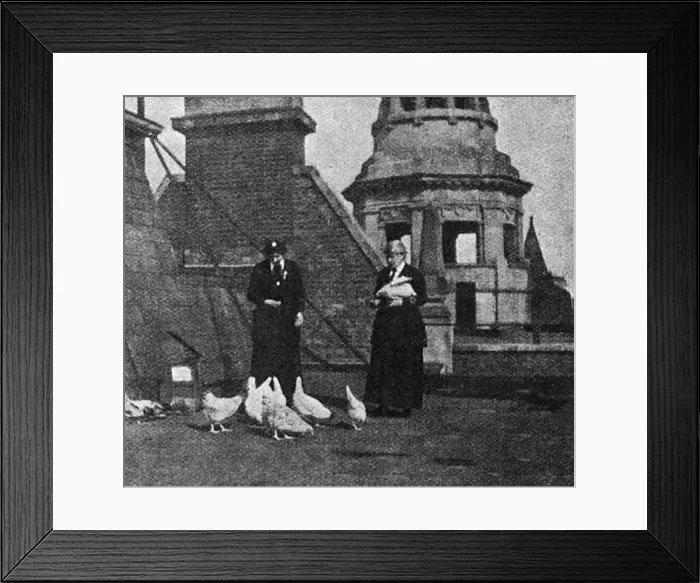 Framed Print : WW1 roof top poultry farm, 1917 Framed Print : WW1 roof top poultry farm, 1917