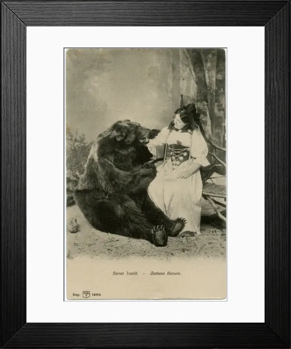 Framed Print : A lady in Traditional Bernaise costume posing with a bear Framed Print : A lady in Traditional Bernaise costume posing with a bear