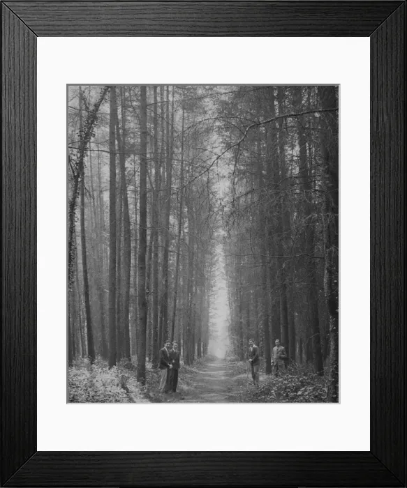 Framed Print : Four men in Forest of Bere, Hampshire, England Framed Print : Four men in Forest of Bere, Hampshire, England
