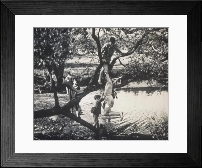 Framed Print : Boys climbing a tree and paddling Framed Print : Boys climbing a tree and paddling