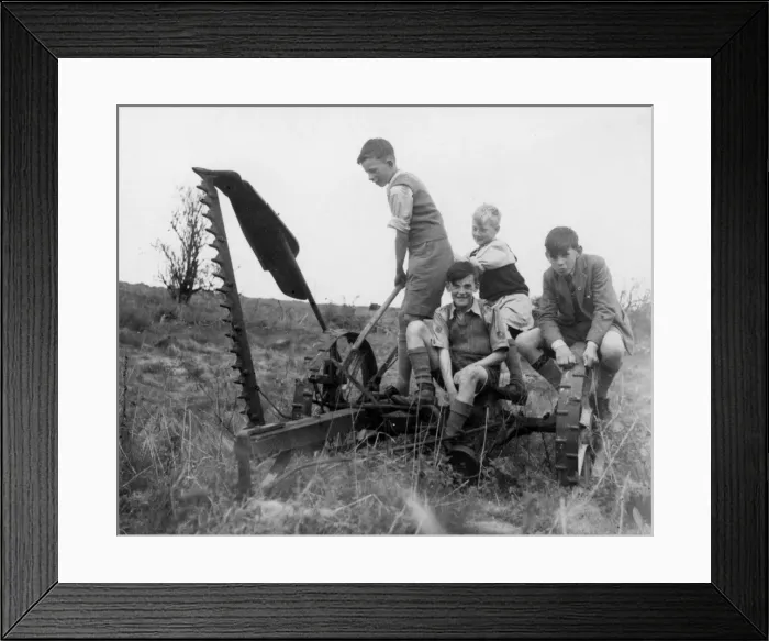 Framed Print : Four boys playing on farming equipment Framed Print : Four boys playing on farming equipment