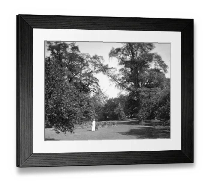 Framed Print : Woodland garden, Grove House, Bamford, Derbyshire Framed Print : Woodland garden, Grove House, Bamford, Derbyshire
