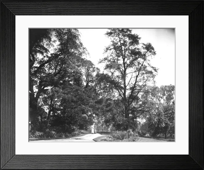 Framed Print : Woodland garden, Grove House, Bamford, Derbyshire Framed Print : Woodland garden, Grove House, Bamford, Derbyshire