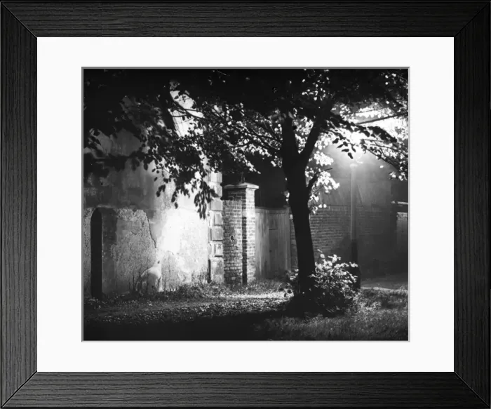 Framed Print : Night scene lit by lamplight Framed Print : Night scene lit by lamplight