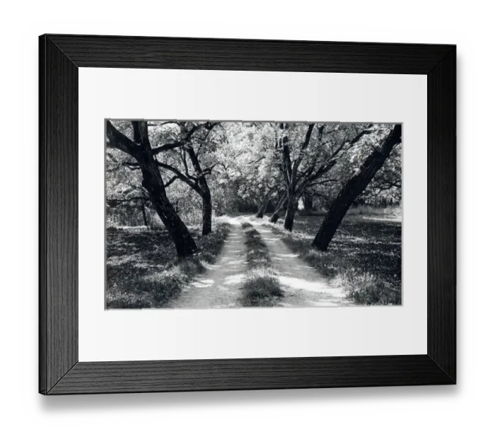 Framed Print : Country lane in the Dordogne, France Framed Print : Country lane in the Dordogne, France