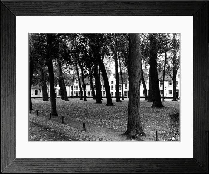 Framed Print : Trees and houses in Bruges, Belgium Framed Print : Trees and houses in Bruges, Belgium