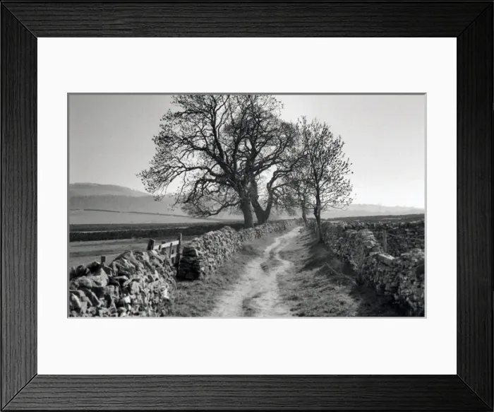 Framed Print : Stone-walled lane, Derbyshire Dales, England Framed Print : Stone-walled lane, Derbyshire Dales, England