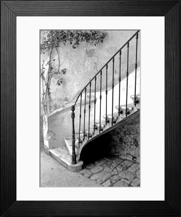 Framed Print : Stone staircase with wrought iron rail, France