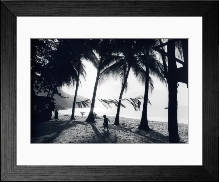 Framed Print : Scene on a beach, Tobago, West Indies Framed Print : Scene on a beach, Tobago, West Indies