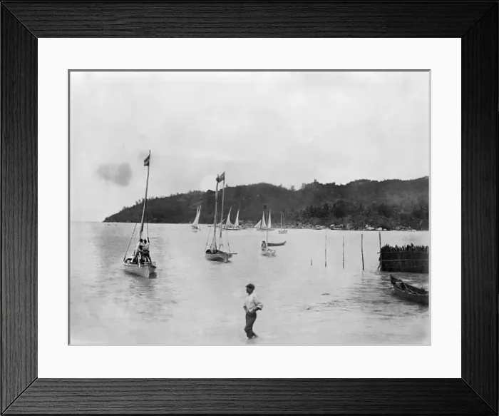 Framed Print : Praslin Island regatta, Seychelles, Indian Ocean Framed Print : Praslin Island regatta, Seychelles, Indian Ocean