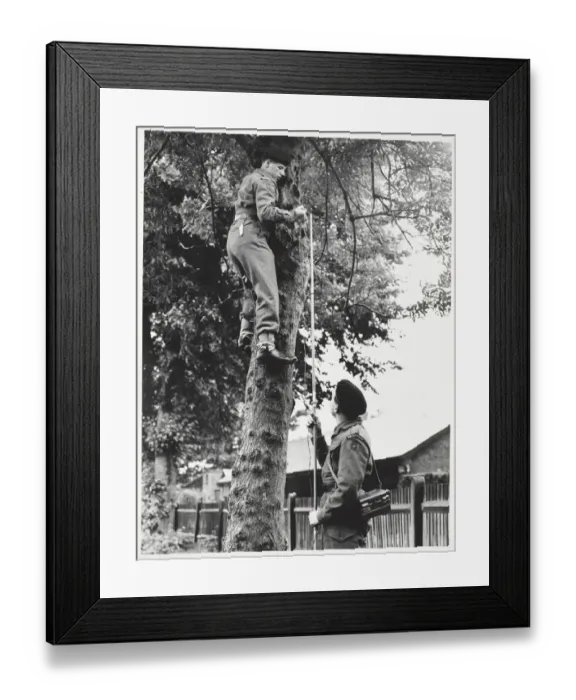 Framed Print : Welsh Guards Framed Print : Welsh Guards