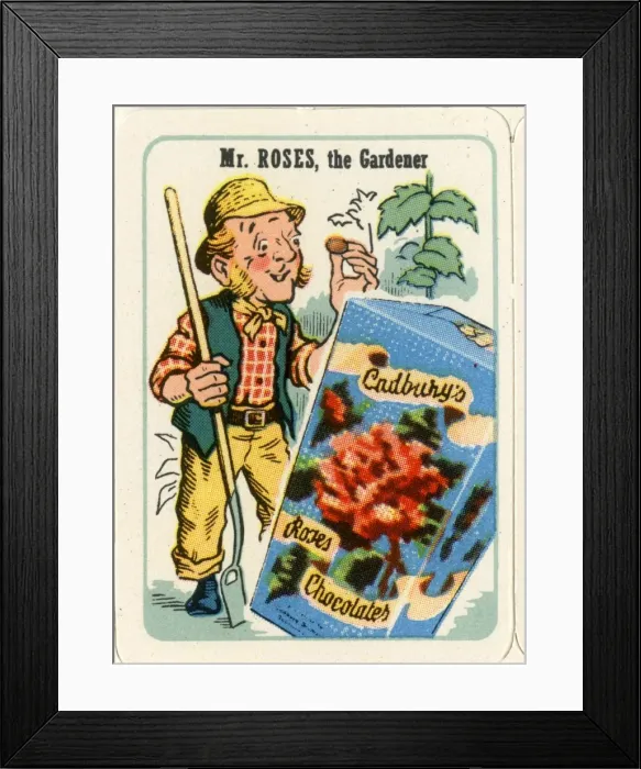 Framed Print : Cadburys Happy Families - Mr Roses Framed Print : Cadburys Happy Families - Mr Roses