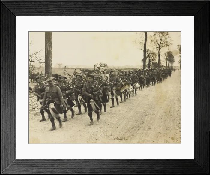 Framed Print : Jocks being piped back after being in the trenches Framed Print : Jocks being piped back after being in the trenches