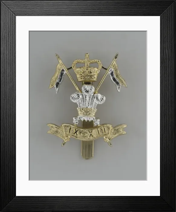 Framed Print : Military Badge Framed Print : Military Badge