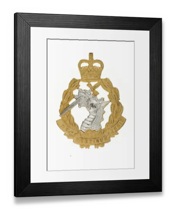 Framed Print : Military Badge Framed Print : Military Badge