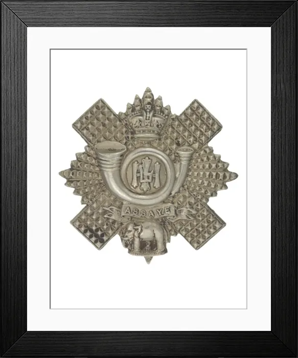 Framed Print : Military Badge Framed Print : Military Badge
