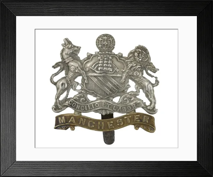 Framed Print : Military Badge Framed Print : Military Badge