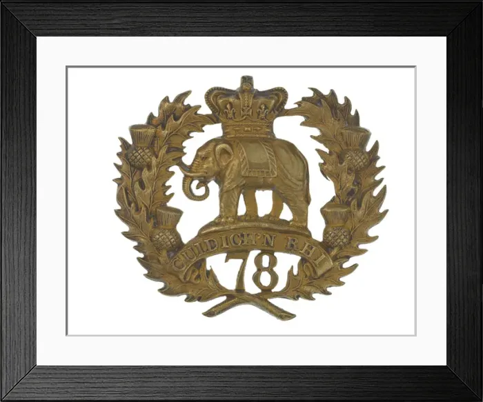 Framed Print : Military Badge Framed Print : Military Badge