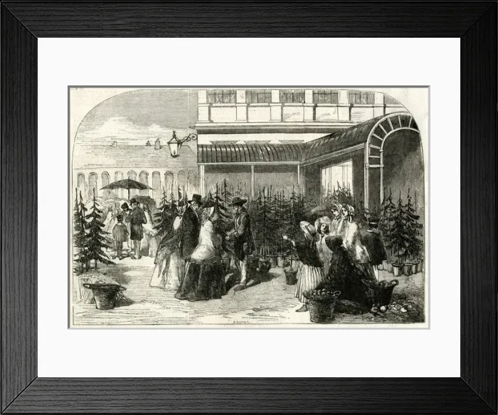 Framed Print : Christmas trees in Covent Garden Market, London Framed Print : Christmas trees in Covent Garden Market, London