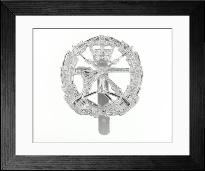 Framed Print : Military Badge Framed Print : Military Badge