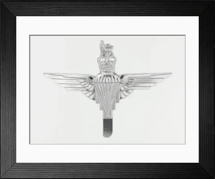 Framed Print : Military Badge Framed Print : Military Badge