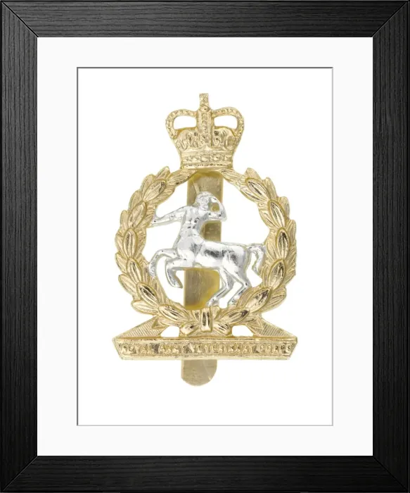 Framed Print : Military Badge Framed Print : Military Badge
