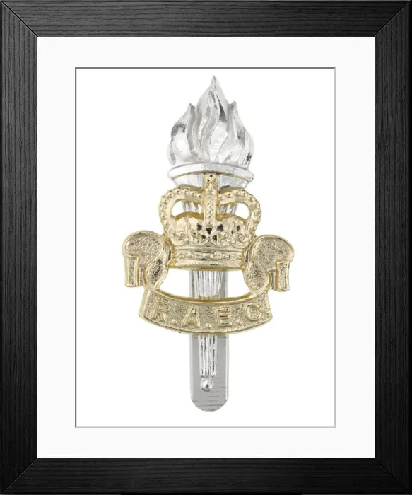 Framed Print : Military Badge Framed Print : Military Badge