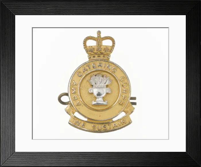 Framed Print : Military Badge Framed Print : Military Badge