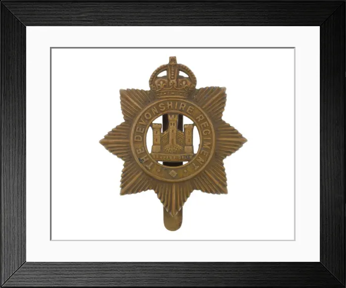 Framed Print : Military Badge Framed Print : Military Badge